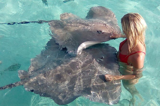 Half day Excursion, Drift Snorkeling Lagoon Adventure. 3H - Price and Value: What $91.24 Includes (and What Doesn’t)