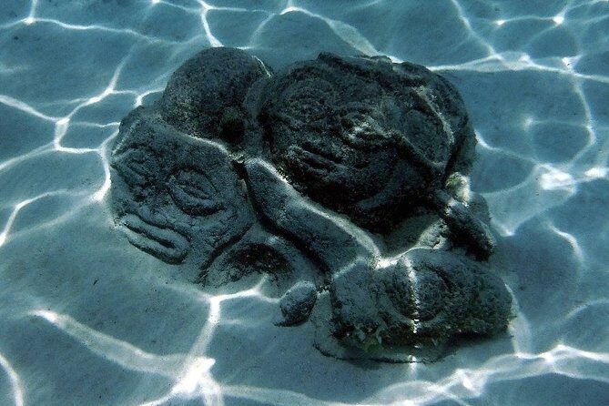 Half day Excursion, Drift Snorkeling Lagoon Adventure. 3H - Should You Book Captain Taina’s Lagoon Adventure?