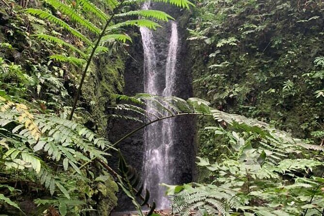 Half-Day Guided Hike to Afareaitu Waterfall - Key highlights if you like your Moorea days active