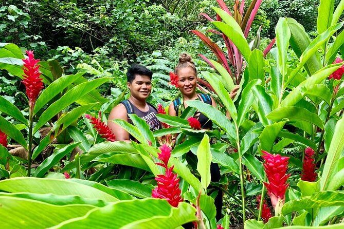 Half-Day Guided Hike to Afareaitu Waterfall - The waterfall moment: swim time in the natural pools