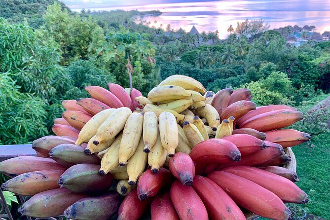 Half-Day Guided Hike to Afareaitu Waterfall - Timing and pacing: how “half-day” works on Moorea time