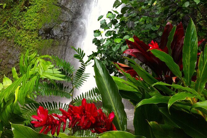 Half-Day Guided Hike to Afareaitu Waterfall - The hike itself: a half-day that mixes botanicals, ruins, and river stops
