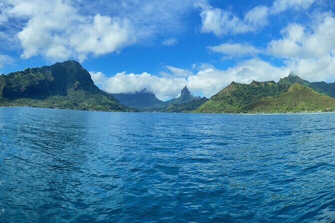 Half-Day Humpback Whales Encounter in Moorea - Key things to know before you go