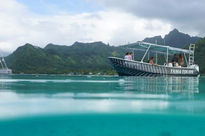 Half-Day Humpback Whales Encounter in Moorea - How Captain Tamatoa’s crew keeps the encounter safe and respectful