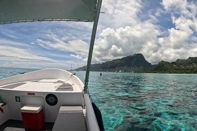 Half-Day Humpback Whales Encounter in Moorea - The swim rules in 2025: small groups, controlled rotations, less chaos