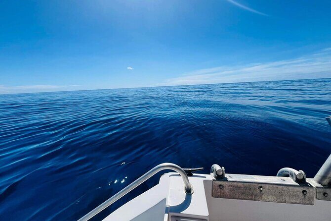 Half-Day Humpback Whales Encounter in Moorea - Swimming reality check: yes, there’s effort, and weather changes the game