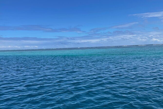 Half-Day Humpback Whales Encounter in Moorea - Where the value really is: $236.85 for safety, control, and better chances