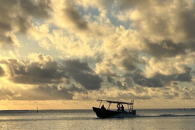 Half-Day Humpback Whales Encounter in Moorea - What to bring so you’re not stuck dealing with basics