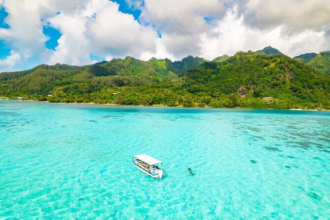 Half Day / Private Lagoon Adventure in Mo'orea - Key Points to Know Before You Go