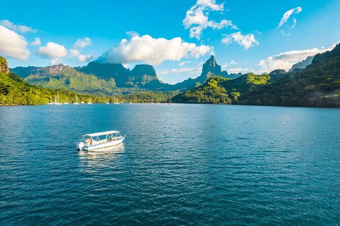 Half Day / Private Lagoon Adventure in Mo'orea - Sandbar Snorkeling With Rays and Reef Sharks (Shallow Water, Big Moments)