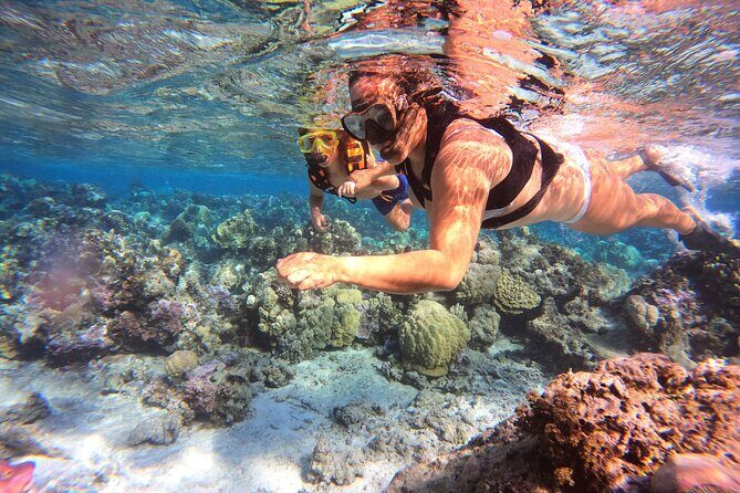 Half Day / Private Lagoon Adventure in Mo'orea - Coral Garden Snorkel Plus Local Fruit and Drinks