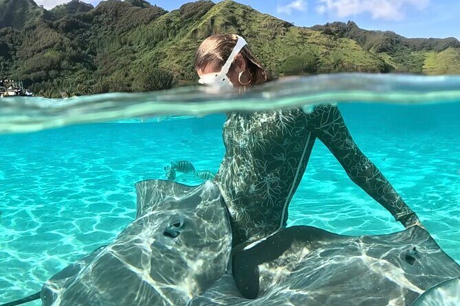 Half Day / Private Lagoon Adventure in Mo'orea - Should You Book This Half-Day Private Lagoon Adventure?