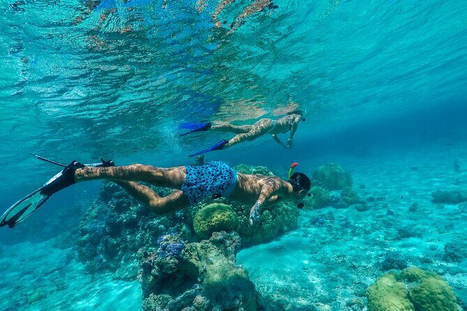 Half Day Private Lagoon Snorkeling Experience - Private Lagoon Ride + Mount Otemanu Views From Every Angle