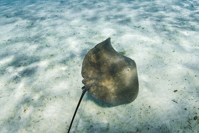 Half-Day Private Luxury Tour from Bora Bora - Entering Bora Bora’s lagoon on a private half-day schedule
