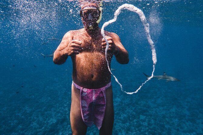 Half-Day Private Luxury Tour from Bora Bora - Should you book this private Bora Bora lagoon tour?