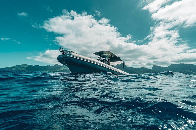 Half Day Private Whale Watching in Moorea - Your Half-Day Plan: Moorea Marina to the Cetaceans