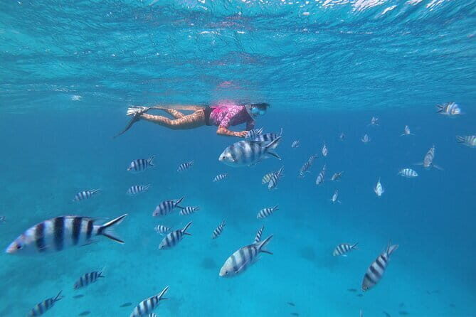 Half-Day Sailing Trip on the Lagoon of Tahiti Comments - What to bring so the day goes smoothly