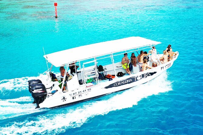 Half Day Snorkeling in Moorea - What You’ll Actually Do in 4 Hours
