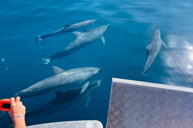 Half day Tahiti Peninsula and Teahupoo boat tour (shared boat) - Snorkeling on the way back: coral garden on a white sand bar
