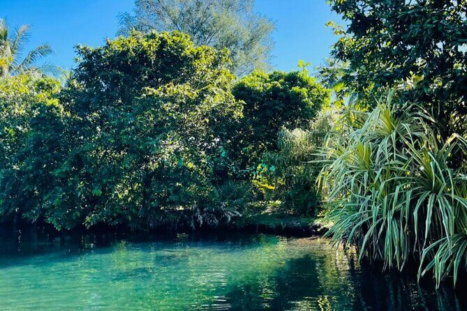 Half day Tahiti Peninsula and Teahupoo boat tour (shared boat) - Price and value: what $255-ish buys in a short half day