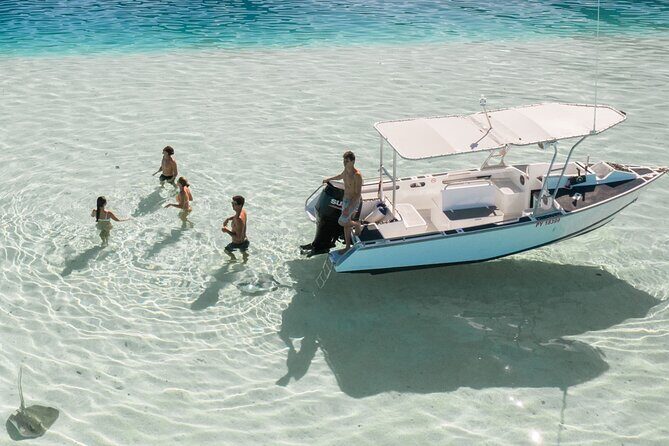 Half Day Tour lagoon discovery marine fauna flora small group - Stop 2: Outer Reef Drop-Off, Open-Water Swimming, Possible Lemon Sharks