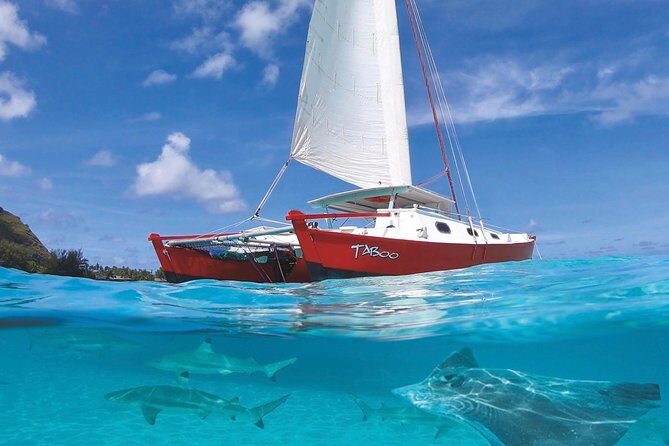 Half Day Tour : Moorea Snorkeling & Sailing on a Catamaran named Taboo - Key Points at a Glance