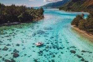 Half Day Tour : Moorea Snorkeling & Sailing on a Catamaran named Taboo - Getting In the Water: Snorkeling That’s More Than Just Pretty Fish