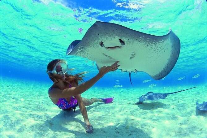 Half Day Tour : Moorea Snorkeling & Sailing on a Catamaran named Taboo - Ōpūnohu Bay: A Quick Cultural Stop With Island Stories
