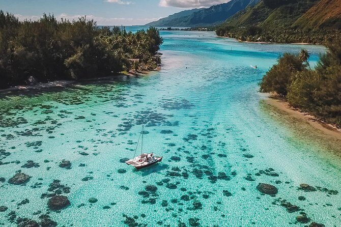 Half Day Tour : Moorea Snorkeling & Sailing on a Catamaran named Taboo - Getting In the Water: Snorkeling That’s More Than Just Pretty Fish