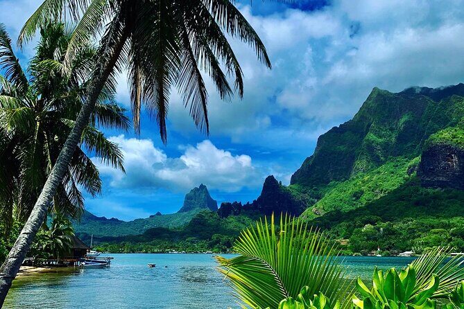 Half-Day Tour of Moorea Island in a Small Group - Key highlights to know before you go