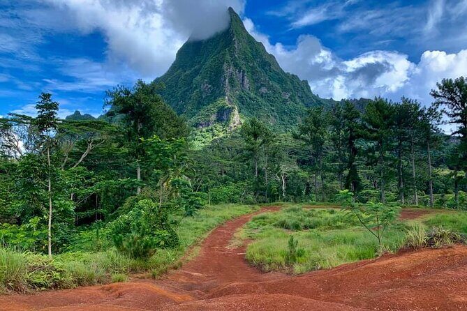 Half-Day Tour of Moorea Island in a Small Group - Small-group comfort and what you’re really riding in