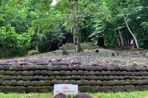 Half-Day Tour of Moorea Island in a Small Group - Belvedere Lookout: the fastest way to understand Moorea