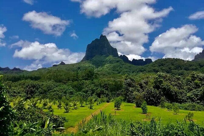 Half-Day Tour of Moorea Island in a Small Group - Cook’s Bay stop: where time gets flexible for photos and views