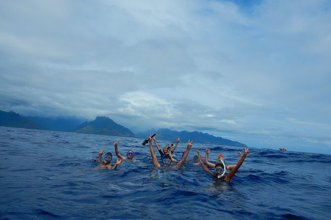 Half day whale tour 4h00 - Weather reality: when the tour changes and why it matters
