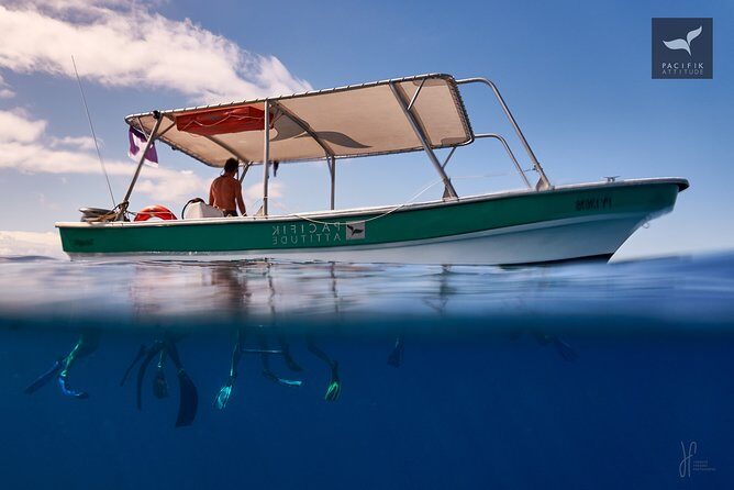 Humpback whale watching and marine life in Moorea - Boat comfort and group size: why it can feel better than bigger tours