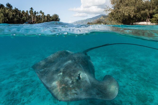 Introduction to sailing and discovering the lagoon - Lagoon stops that mix history, biodiversity, and a little mystery