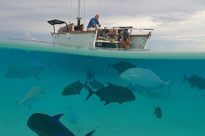 Introduction to sailing and discovering the lagoon - The crew’s teaching style: patient, local, and hands-on