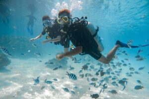 Introductory Dive in Bora Bora (afternoon) - The 2-hour flow: from check-in to your calm first floating session