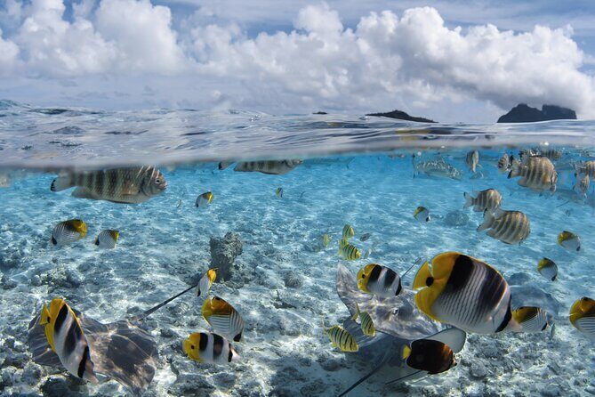 Introductory Dive in Bora Bora (afternoon) - The Matira beach meeting point and why pickup is a big deal