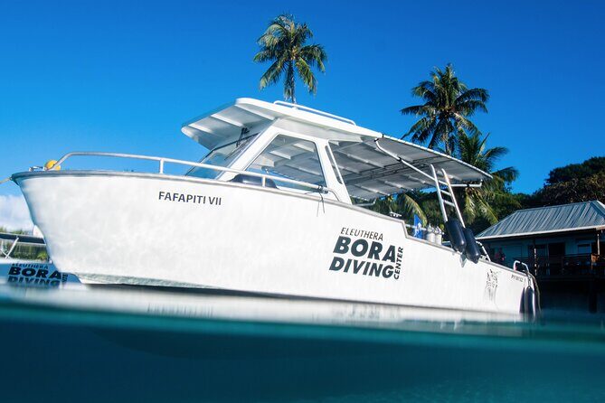 Introductory Dive in Bora Bora (afternoon) - A few practical tips so you feel ready