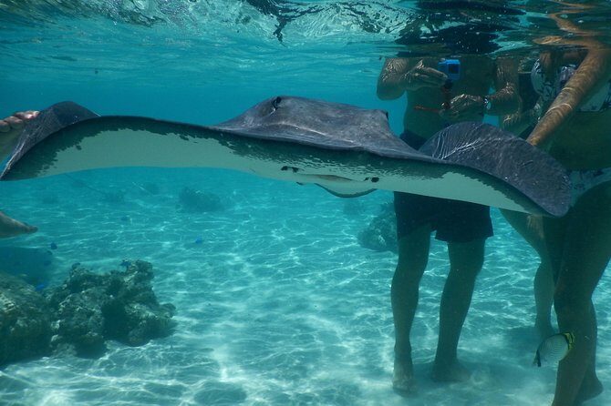 Jet-ski excursion 3 hrs Jet ski excursion to Moorea (single or two-seater) - Solo vs two-seater: picking the best setup for you