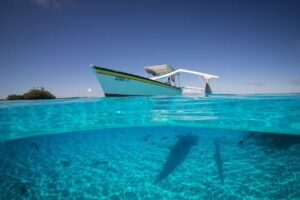 Keishi Tour Half Day Shared Excursion - The snorkeling stop at a coral garden (what to expect)