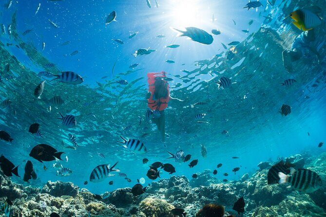 Keishi Tour Half Day Shared Excursion - Timing: starting at 9:00am and planning your day around 4 hours
