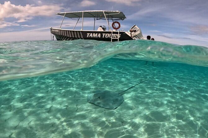 Lagoon Exploration and Snorkeling in Moorea - A Moorea Lagoon Boat Ride With Tama Tours