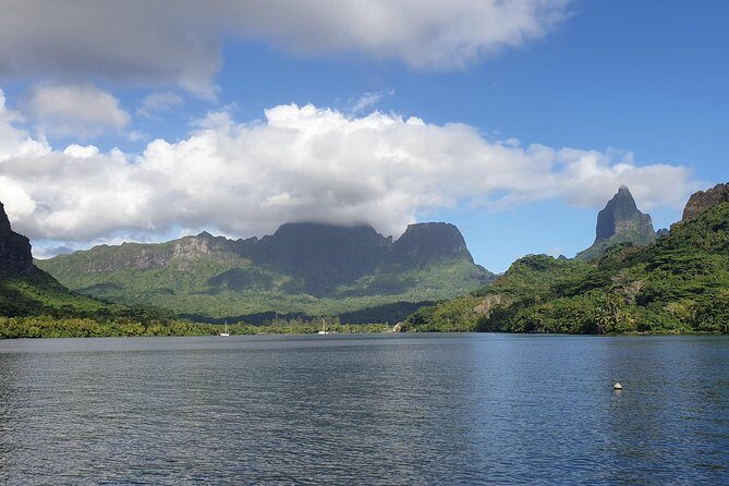 Lagoon Tour - Discover the magnificent lagoon of Moorea - Why This Moorea Lagoon Tour Feels Better Than Big-Crowd Trips