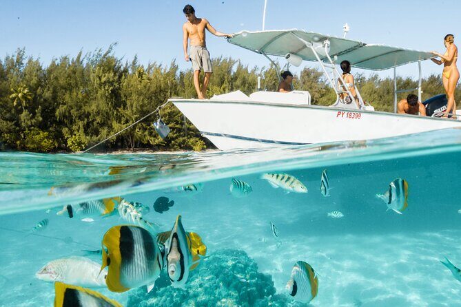 Lagoon Tour in Moorea in Small Group with Lunch - Stop 1: The Sandbar for Rays and Blacktip Sharks