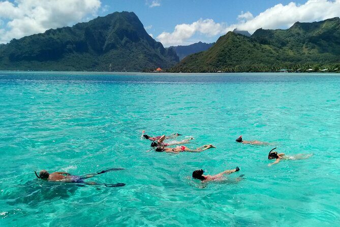 Land and Sea cultural tour to discover traditions, heritage and the lagoon - On Land at a Private Cultural Center: Heritage That’s More Than a Photo Op