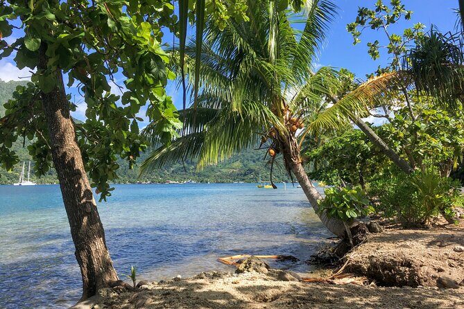 Land and Sea cultural tour to discover traditions, heritage and the lagoon - Price and Value: What You’re Really Paying For