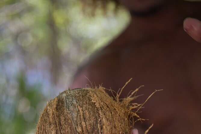 Luxury Private full day tour & Motu lunch in Bora-Bora - Getting the Most From Your Guide: How Natives Tell the Story and Keep You Safe