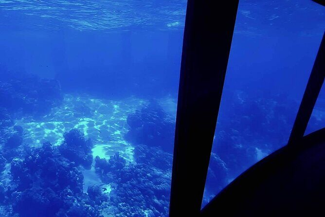 Magical Boat Tour with Underwater Cabin in Bora Bora! - Key Takeaways Before You Go